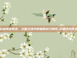 云端翔龙骑术，云端之境中的极限战力博弈-云端翔龙骑术