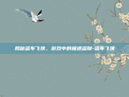 揭秘盗车飞侠，游戏中的极速盗贼-盗车飞侠