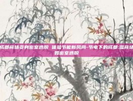 成都商场变身密室逃脱 体验节能新风尚-节电下的成都:逛商场如密室逃脱