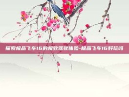 探索极品飞车16的极致驾驶体验-极品飞车16好玩吗