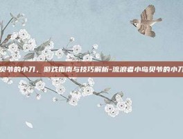 贝爷的小刀，游戏指南与技巧解析-流浪者小岛贝爷的小刀