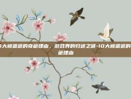 10大被遣返的奇葩理由，游戏界的归途之谜-10大被遣返的奇葩理由
