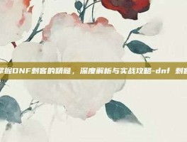 掌握DNF刺客的精髓，深度解析与实战攻略-dnf 刺客