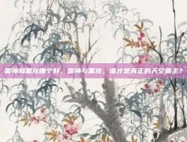 雷神和黑龙哪个好，雷神与黑龙，谁才是真正的天空霸主？