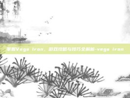 掌握Vega Iron，游戏攻略与技巧全解析-vega iron