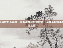 征服点数怎么获得，征服点数获取全攻略，从新手到高手的必经之路