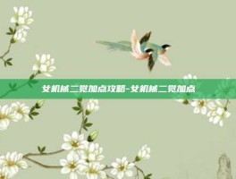 女机械二觉加点攻略-女机械二觉加点