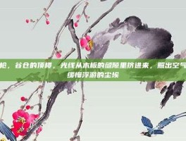 银枪，谷仓的顶楼，光线从木板的缝隙里挤进来，照出空气中缓慢浮游的尘埃