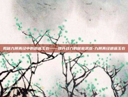揭秘九阴真经中的逍遥玉衣——提升战力的秘密武器-九阴真经逍遥玉衣