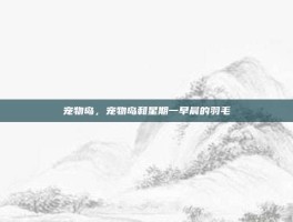 宠物岛，宠物岛和星期一早晨的羽毛