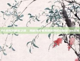 PE战队的崛起之路，揭秘顶尖电竞团队的成功秘诀-pe战队