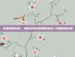 小蛮的锦衣馆，揭秘游戏中的神秘组织-小蛮的锦衣馆