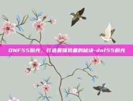 DNF55粉光，打造最强装备的秘诀-dnf55粉光