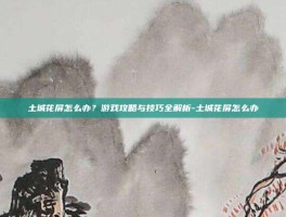 土城花屏怎么办？游戏攻略与技巧全解析-土城花屏怎么办