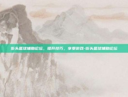 街头篮球辅助论坛，提升技巧，享受游戏-街头篮球辅助论坛