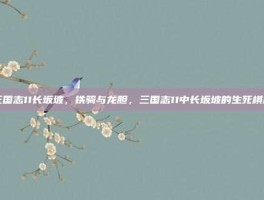 三国志11长坂坡，铁骑与龙胆，三国志11中长坂坡的生死棋局