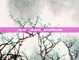 三国战将，三国战将录，血火中的璀璨星辰