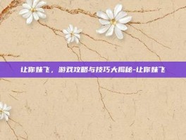 让你妹飞，游戏攻略与技巧大揭秘-让你妹飞
