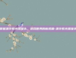 掌握清华紫光摄像头，游戏世界的新视角-清华紫光摄像头