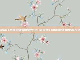 剑灵洪门武器的正确使用方法-剑灵洪门武器的正确使用方法是