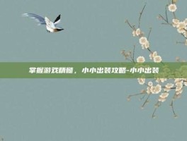 掌握游戏精髓，小小出装攻略-小小出装