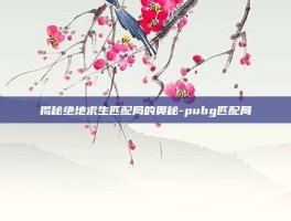 揭秘绝地求生匹配局的奥秘-pubg匹配局
