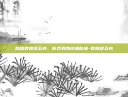 揭秘寰神结五内，游戏界的终极秘密-寰神结五内