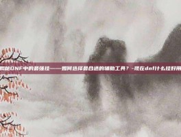 揭秘DNF中的最强挂——如何选择最合适的辅助工具？-现在dnf什么挂好用