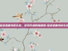 征途迅雷特权礼包，游戏升级的加速器-征途迅雷特权礼包