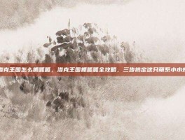 洛克王国怎么抓呱呱，洛克王国抓呱呱全攻略，三步搞定这只萌系小水宠