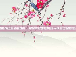魔兽世界红玉圣殿攻略，如何高效击败挑战-wlk红玉圣殿怎么打