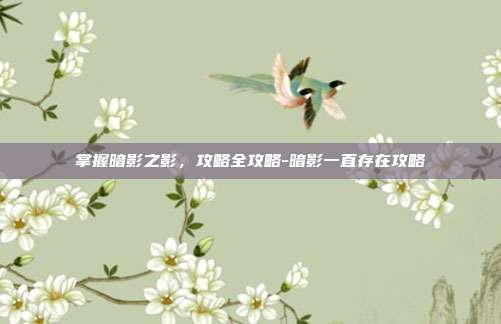 掌握暗影之影,攻略全攻略-暗影一直存在攻略