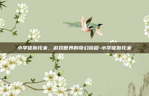 小学徒斯托米,游戏世界的奇幻旅程-小学徒斯托米