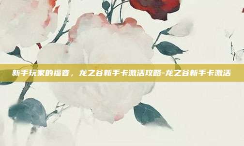 新手玩家的福音,龙之谷新手卡激活攻略-龙之谷新手卡激活