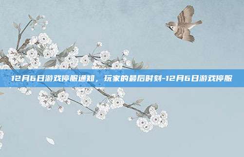 12月6日游戏停服通知,玩家的最后时刻-12月6日游戏停服