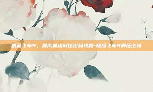 极品飞车9,最高通缉解压密码攻略-极品飞车9解压密码