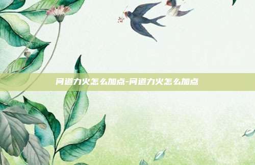 问道力火怎么加点-问道力火怎么加点