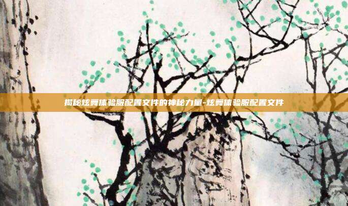 揭秘炫舞体验服配置文件的神秘力量-炫舞体验服配置文件