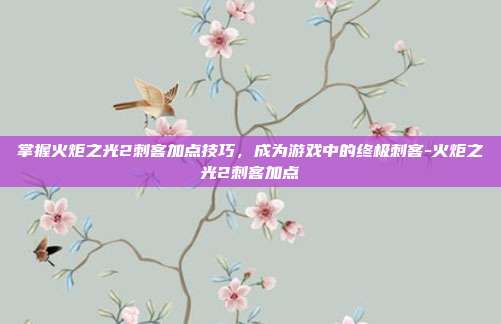 掌握火炬之光2刺客加点技巧,成为游戏中的终极刺客-火炬之光2刺客加点