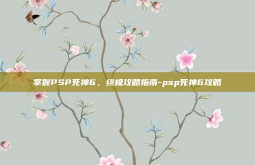 掌握PSP死神6,终极攻略指南-psp死神6攻略
