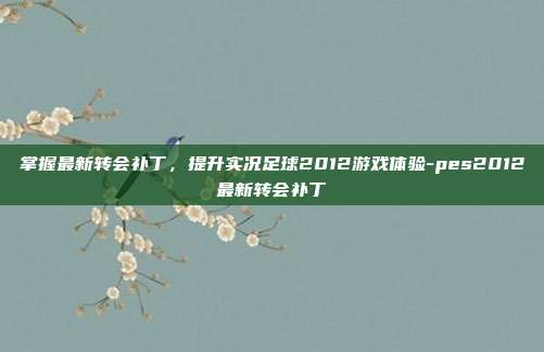 掌握最新转会补丁,提升实况足球2012游戏体验-pes2012最新转会补丁