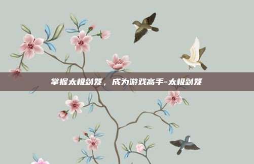 掌握太极剑笈,成为游戏高手-太极剑笈