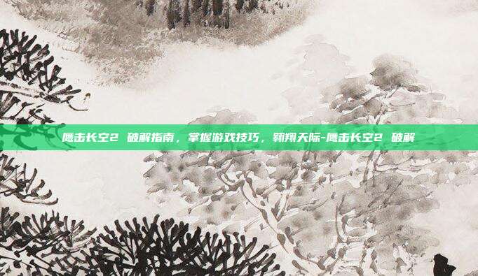 鹰击长空2 破解指南,掌握游戏技巧,翱翔天际-鹰击长空2 破解