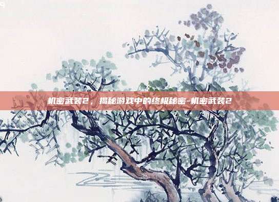 机密武装2,揭秘游戏中的终极秘密-机密武装2