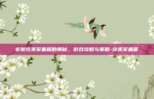 掌握完美军备箱的奥秘,游戏攻略与策略-完美军备箱