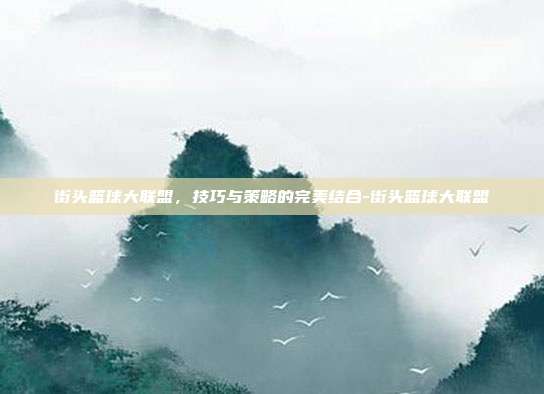 街头篮球大联盟,技巧与策略的完美结合-街头篮球大联盟