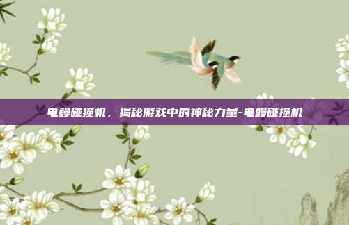 电鳗碰撞机,揭秘游戏中的神秘力量-电鳗碰撞机