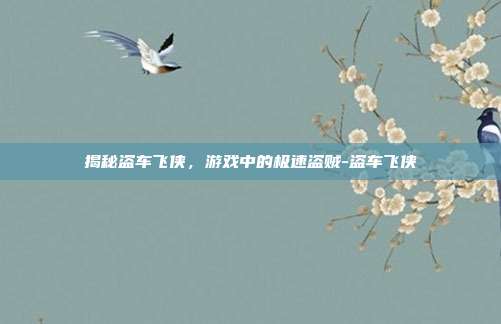 揭秘盗车飞侠,游戏中的极速盗贼-盗车飞侠