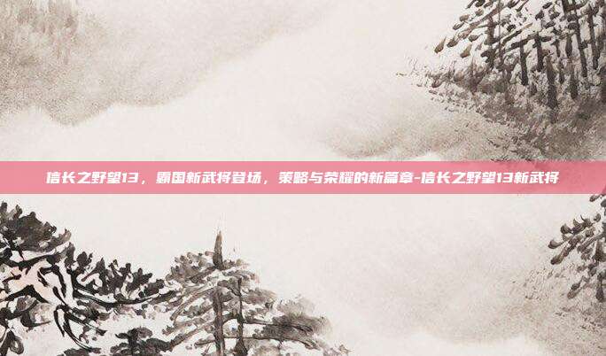 信长之野望13,霸国新武将登场,策略与荣耀的新篇章-信长之野望13新武将