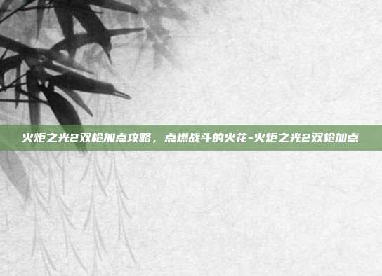 火炬之光2双枪加点攻略,点燃战斗的火花-火炬之光2双枪加点